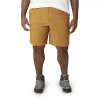 Big & Tall Eddie Bauer Horizon Guide Chino Shorts -Outdoor Clothing Sales 5212020 Bronze
