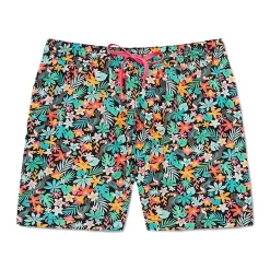 Men's Chubbies 5.5" Stretch Swim Trunks -Outdoor Clothing Sales 5471829 Boomerang